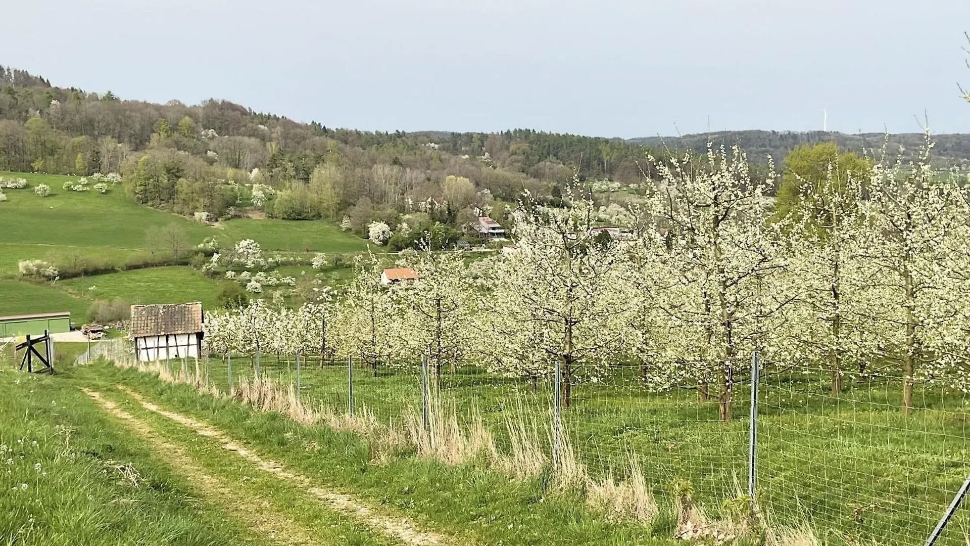شقة Wohlfuehloase Ermreuth Neunkirchen am Brand
